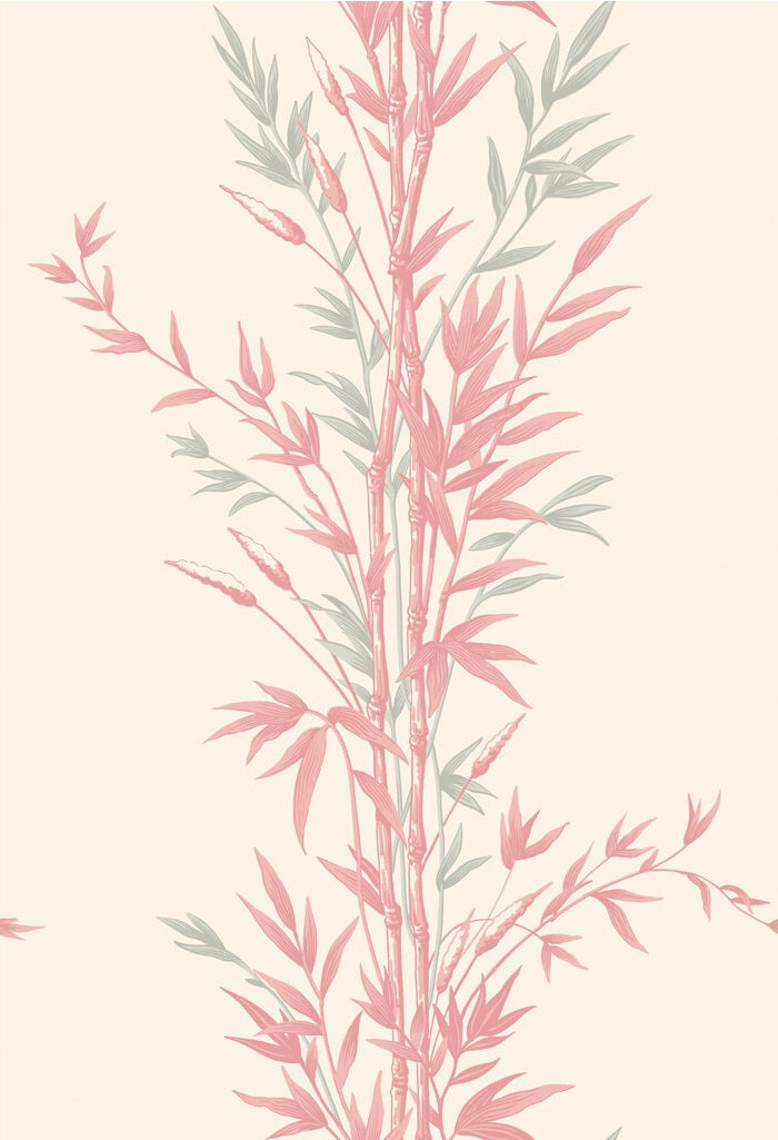 Purchase 100/5024 Cs Bamboo Pink By Cole and Son Wallpaper