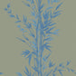 Order 100/5026 Cs Bamboo Blue On Khaki By Cole and Son Wallpaper