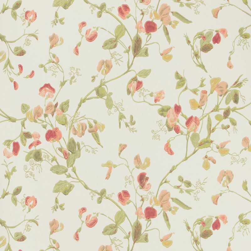 Acquire 100/6028 Cs Sweet Pea Pink By Cole and Son Wallpaper