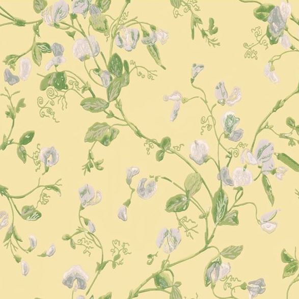 Search 100/6029 Cs Sweet Pea Yellow By Cole and Son Wallpaper