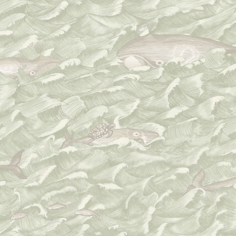 Shop 103/1001 Cs Melville Green By Cole and Son Wallpaper