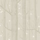 Buy 103/11048 Cs Woods And Stars Grey By Cole and Son Wallpaper