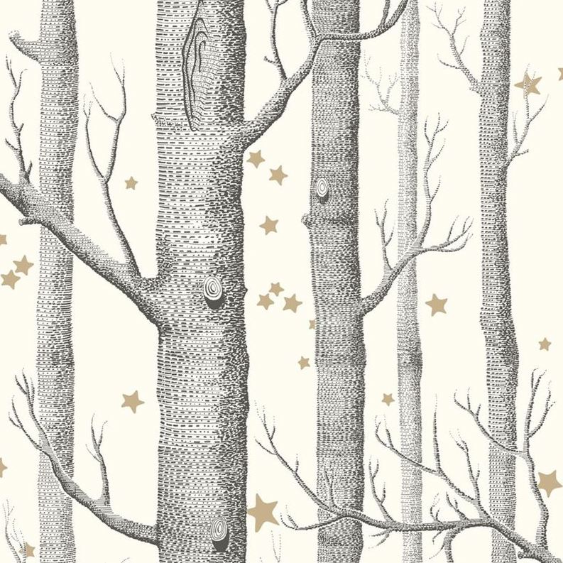 Find 103/1105/0 Cs Woods And Stars Black Andwhite By Cole and Son Wallpaper