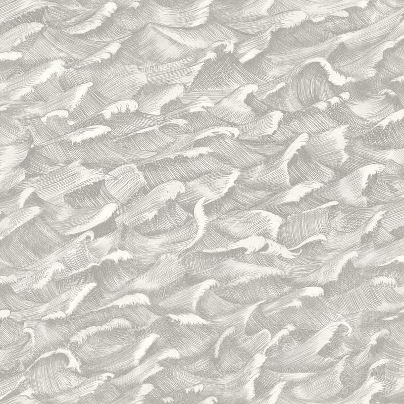 Purchase 103/13055 Cs Columbus Black Andwhite By Cole and Son Wallpaper