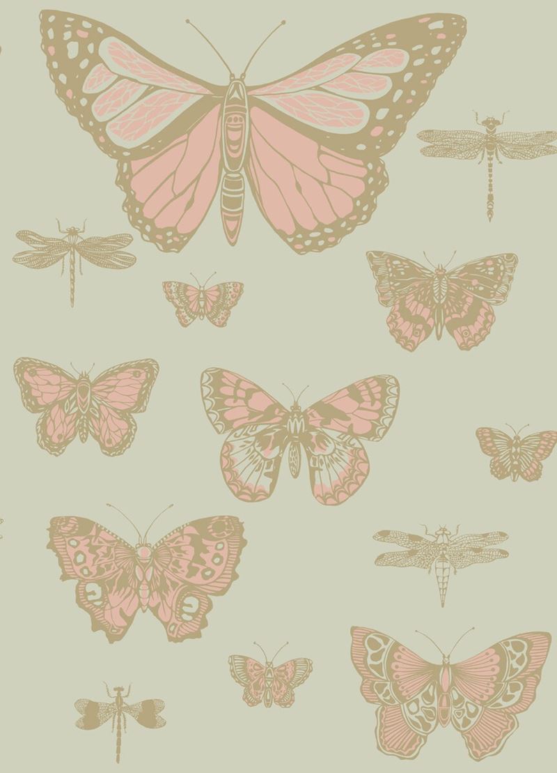 Buy 103/15063 Cs Butterflies And Dragonflies Pink On Oliv By Cole and Son Wallpaper