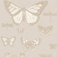 Purchase 103/15064 Cs Butterflies And Dragonflies Grey By Cole and Son Wallpaper