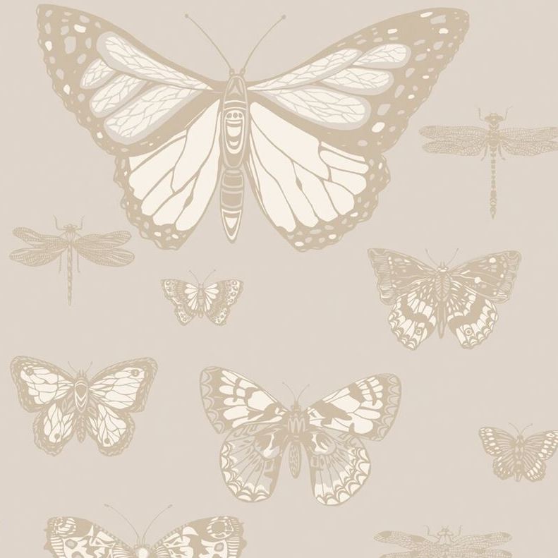 Purchase 103/15064 Cs Butterflies And Dragonflies Grey By Cole and Son Wallpaper