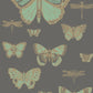 Search 103/15067 Cs Butterflies And Dragonflies Green On Char By Cole and Son Wallpaper