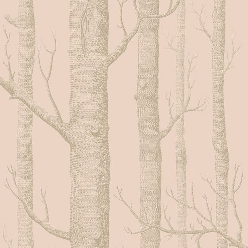 Save on 103/5024 Cs Woods Pink Gilver By Cole and Son Wallpaper