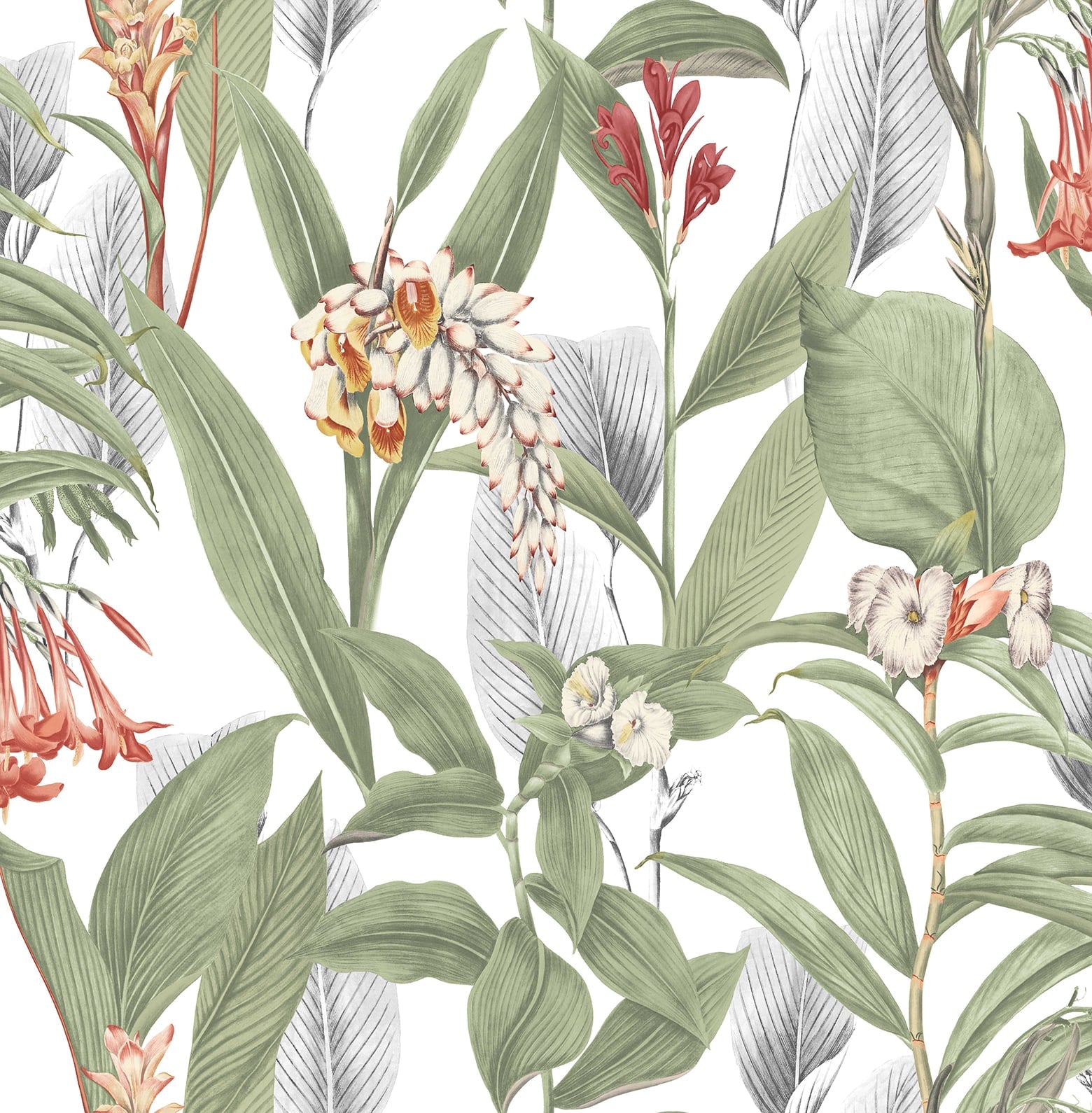 Order Graham & Brown Wallpaper Botanical Powder Removable Wallpaper