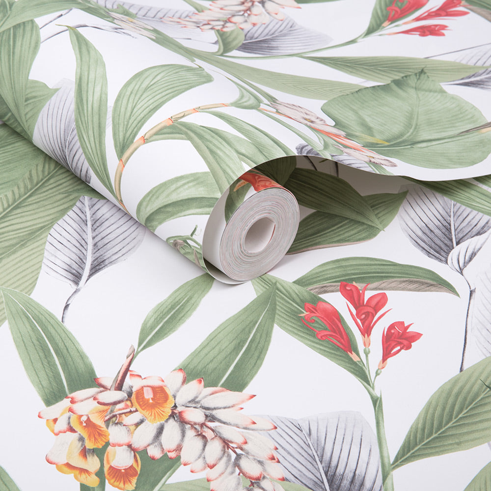 Order Graham & Brown Wallpaper Botanical Powder Removable Wallpaper_3