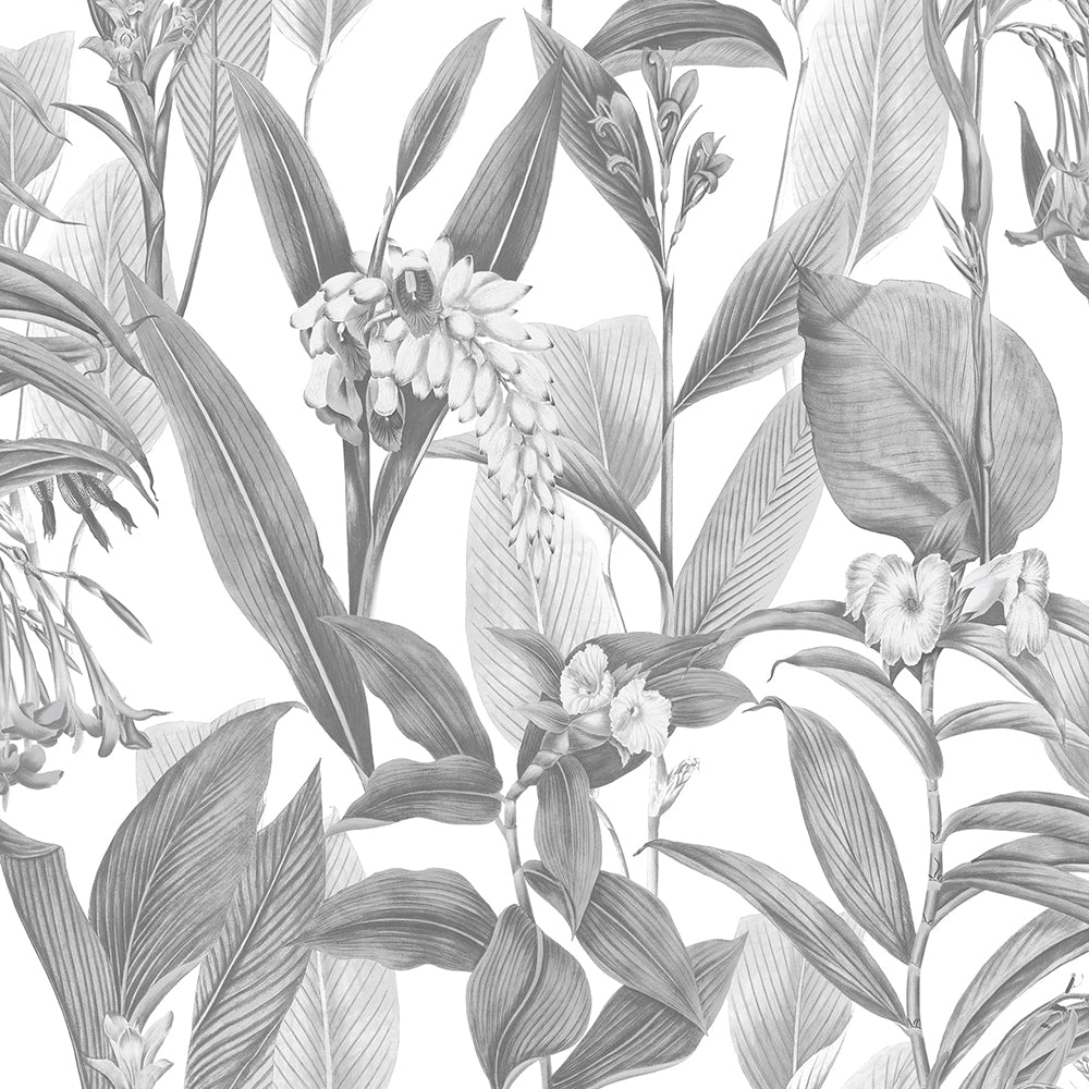 Sample - 103801 - Graham & Brown, Botanical Shadow Removable Wallpaper