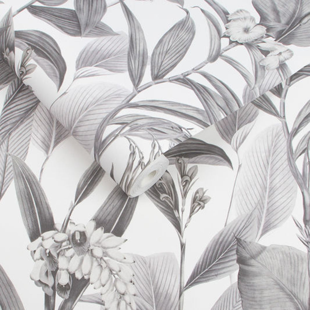 Looking for Graham & Brown Wallpaper Botanical Shadow Removable Wallpaper_3