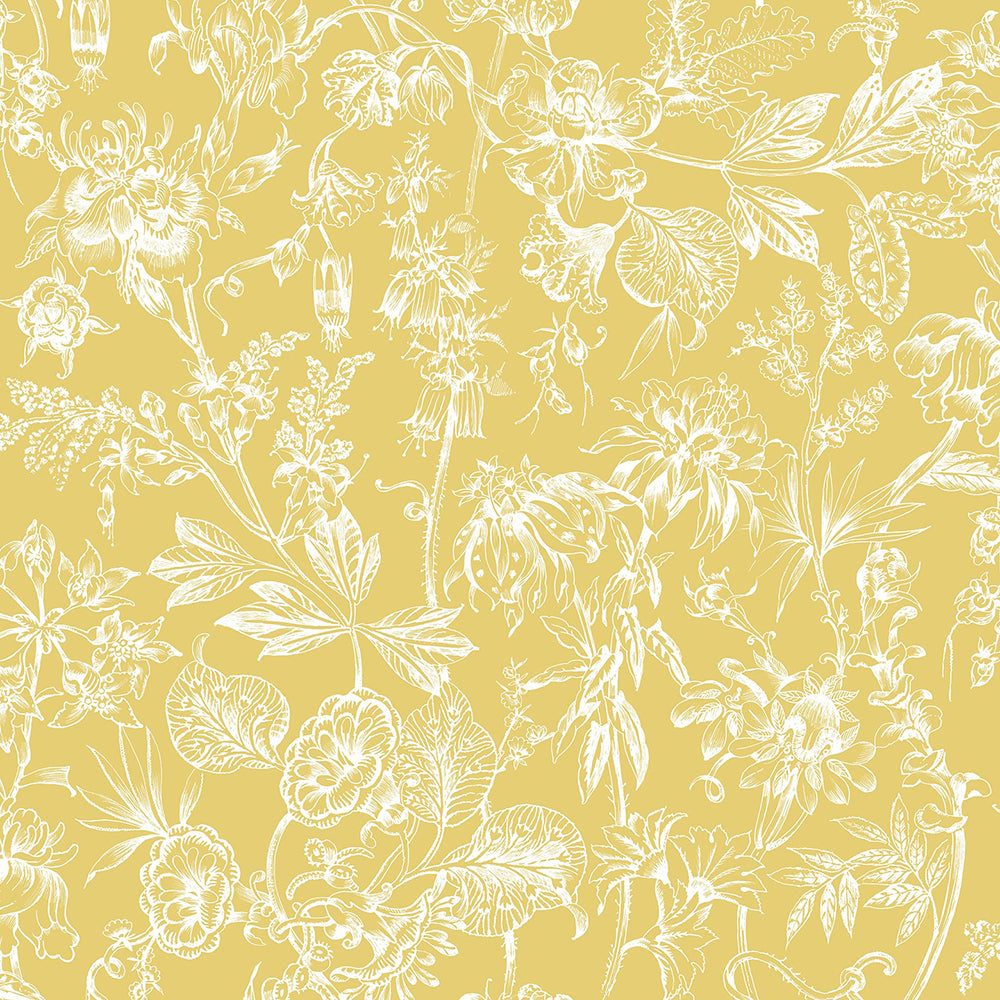 Save on Graham & Brown Wallpaper Stroma Dandelion Removable Wallpaper