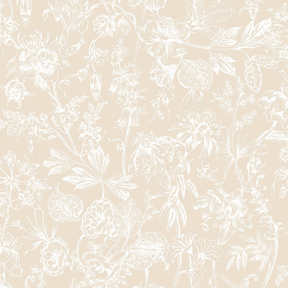 Find Graham & Brown Wallpaper Stroma Fawn Removable Wallpaper