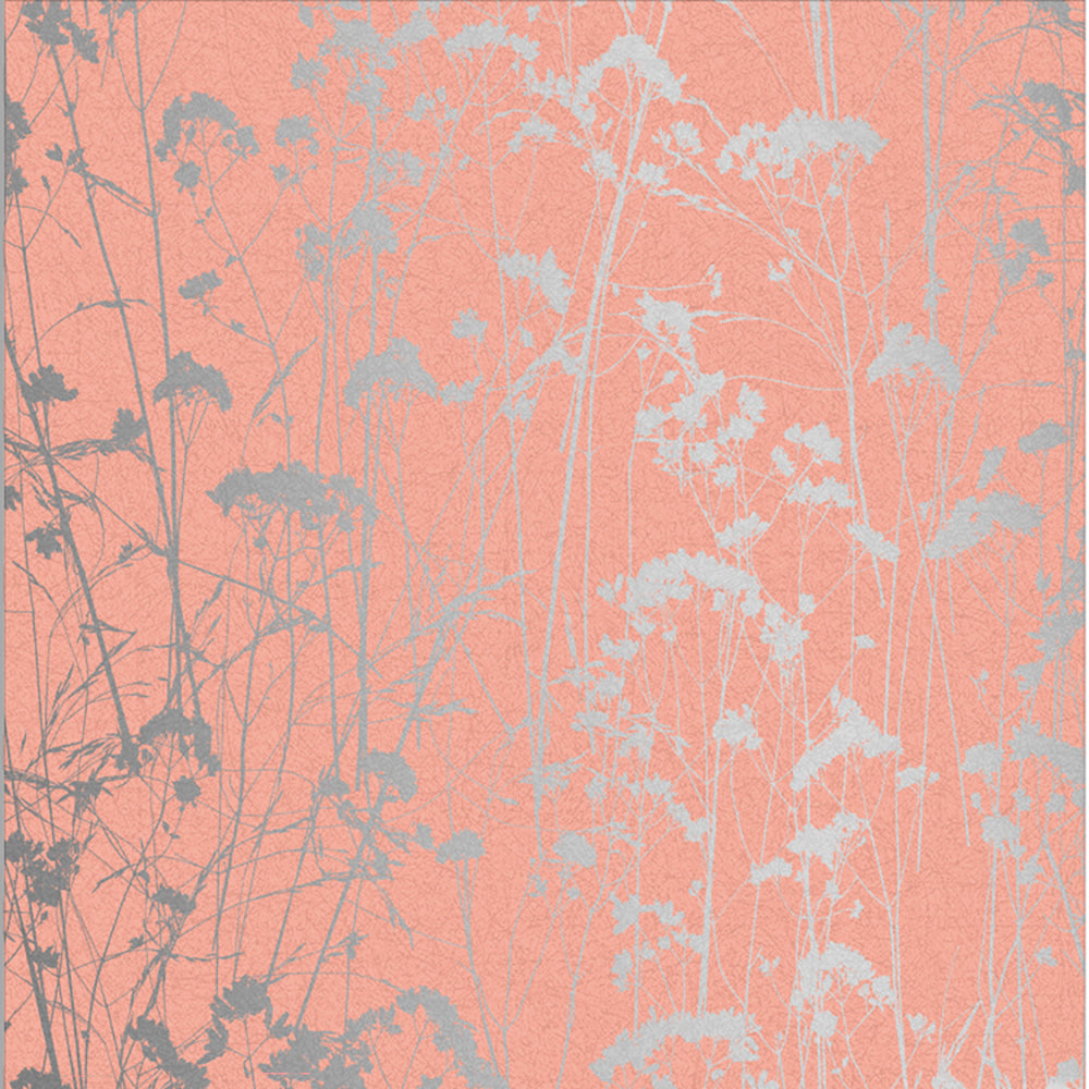 Purchase Graham & Brown Wallpaper Grace Coral Removable Wallpaper
