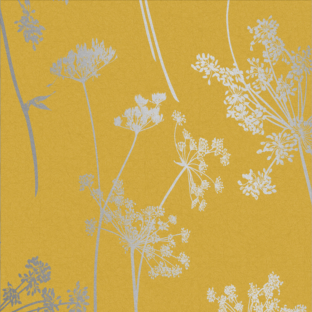 Purchase Graham & Brown Wallpaper Anthriscus Summer Removable Wallpaper