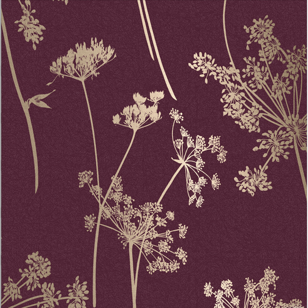 Buy Graham & Brown Wallpaper Anthriscus Plum Removable Wallpaper