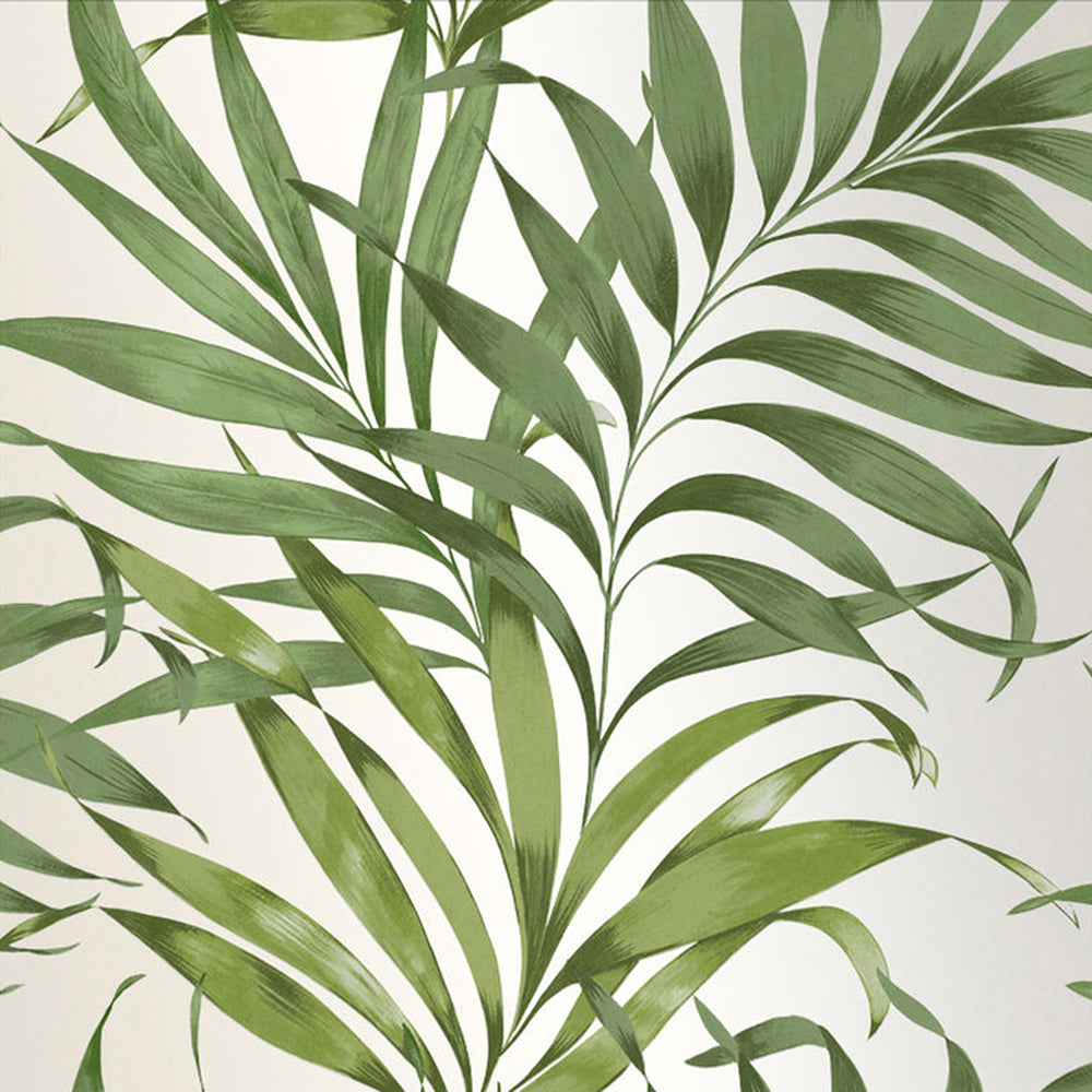 Purchase Graham & Brown Wallpaper Yasuni Lush Green Removable Wallpaper