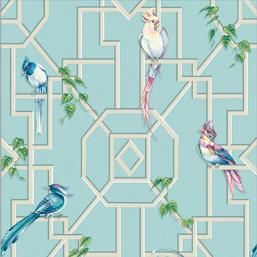 Buy Graham & Brown Wallpaper Bird Cage Aqua Removable Wallpaper