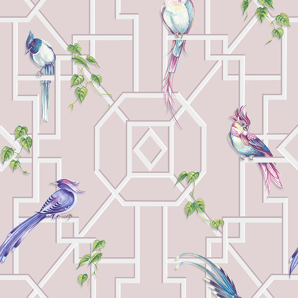 Select Graham & Brown Wallpaper Bird Cage Blush Removable Wallpaper