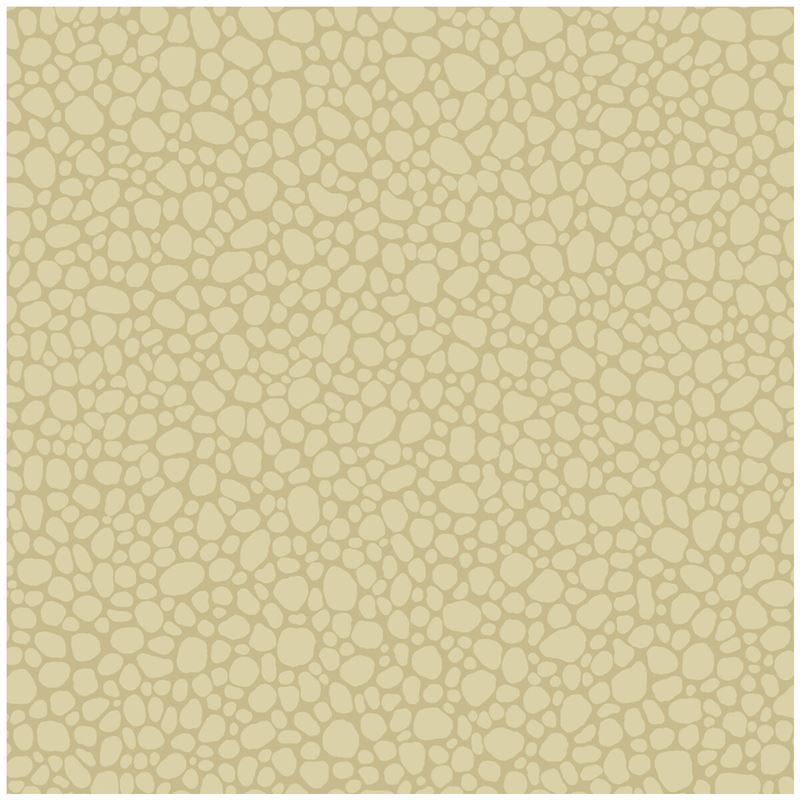 Looking for 106/2024 Cs Pebble Latte By Cole and Son Wallpaper