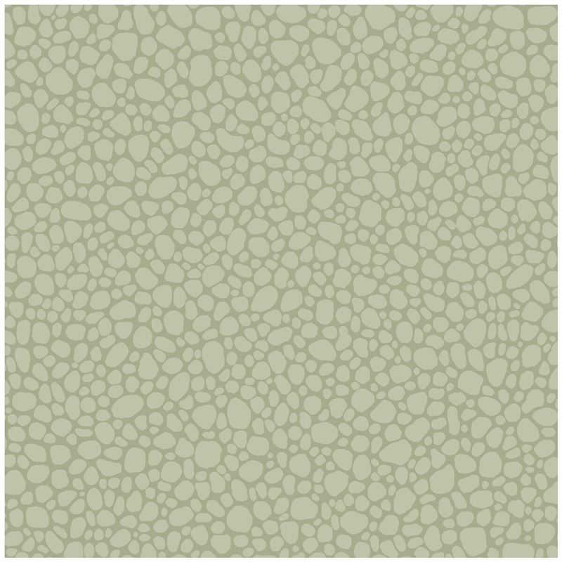 Acquire 106/2027 Cs Pebble Sage By Cole and Son Wallpaper