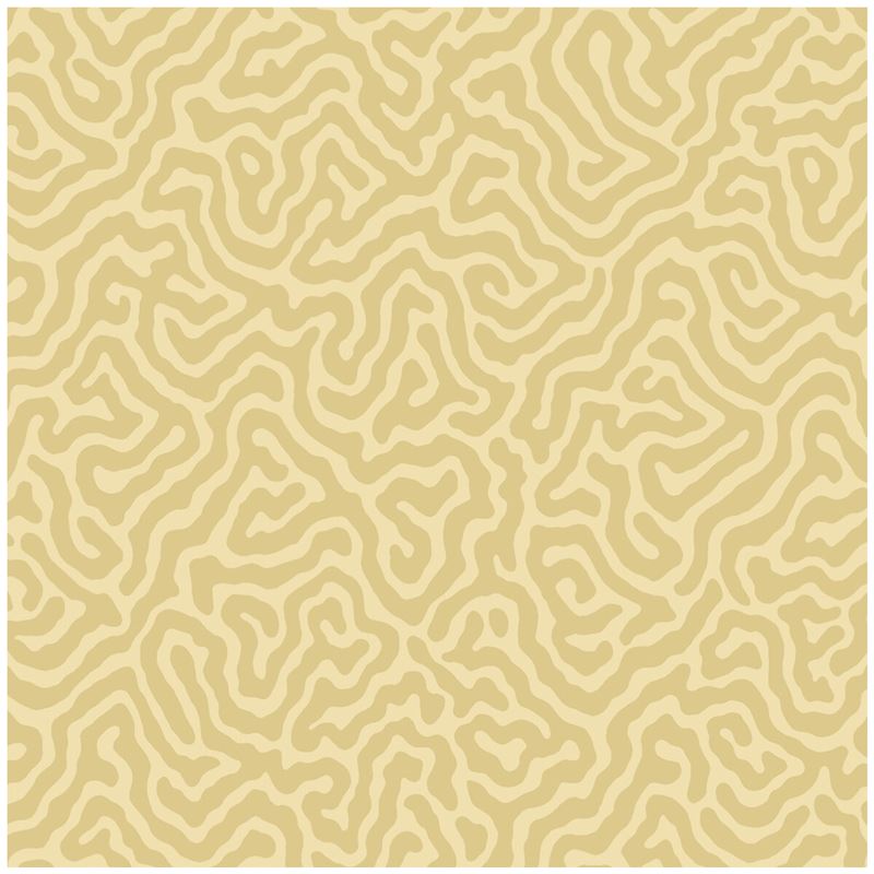 Select 106/5074 Cs Coral Ochre By Cole and Son Wallpaper