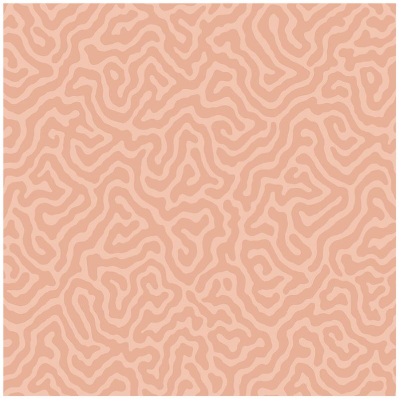 Buy 106/5075 Cs Coral Salmon By Cole and Son Wallpaper