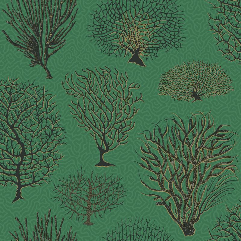 Save on 107/2007 Cs Seafern Emerald By Cole and Son Wallpaper