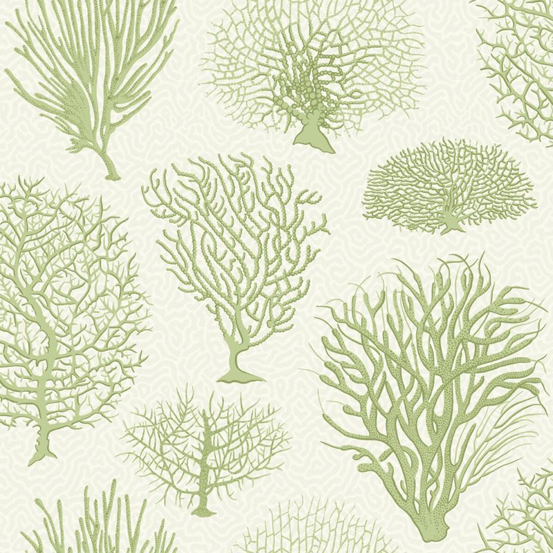 Acquire 107/2008 Cs Seafern Soft Green By Cole and Son Wallpaper