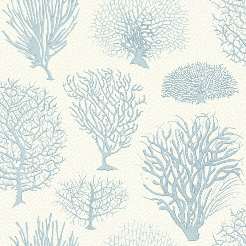 Search 107/2009 Cs Seafern Blue By Cole and Son Wallpaper