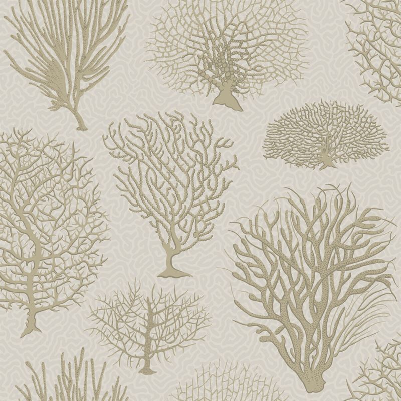 Shop 107/2010 Cs Seafern Stone By Cole and Son Wallpaper