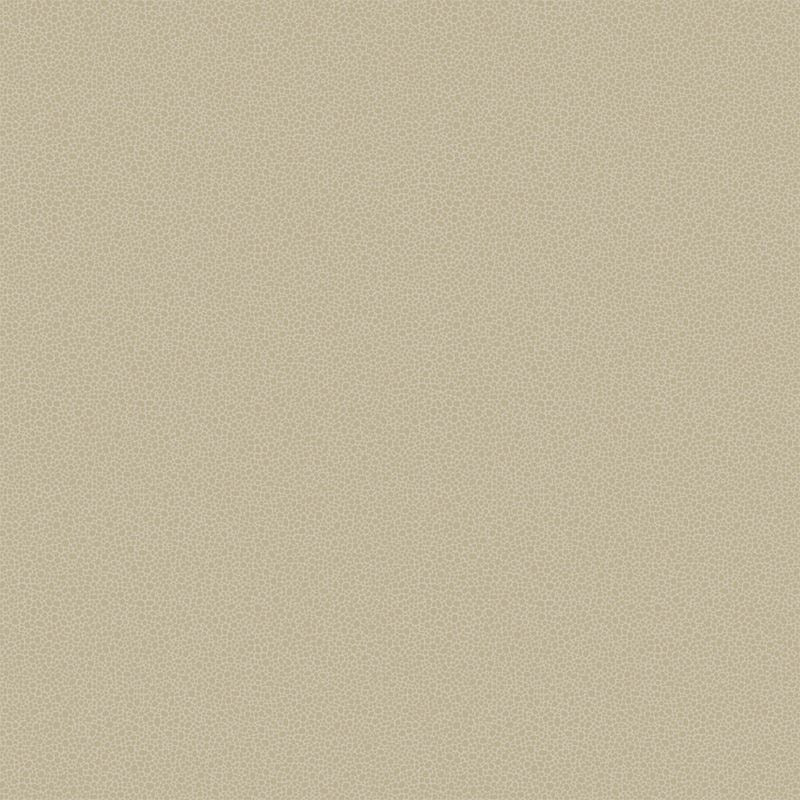 Search 107/9042 Cs Goldstone Stone And Gilver By Cole and Son Wallpaper