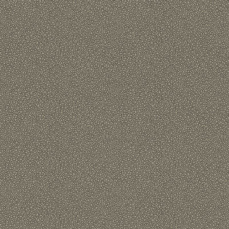 Shop 107/9043 Cs Goldstone Black And Silver By Cole and Son Wallpaper