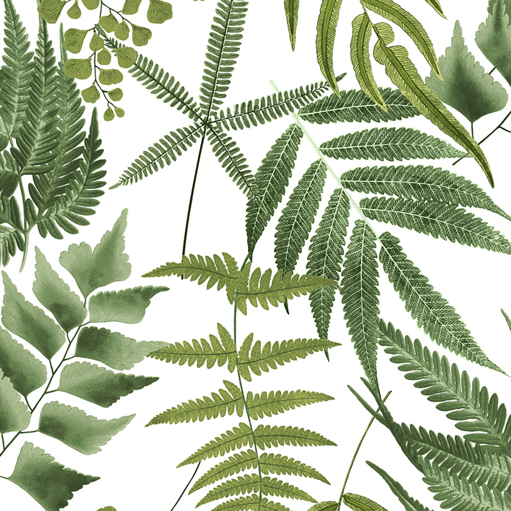 Buy Graham & Brown Wallpaper Midsummer Fern Lush Removable Wallpaper