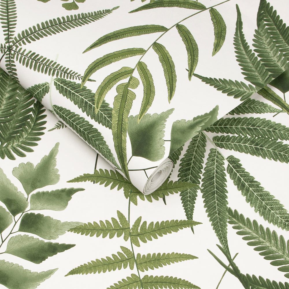 Buy Graham & Brown Wallpaper Midsummer Fern Lush Removable Wallpaper_3