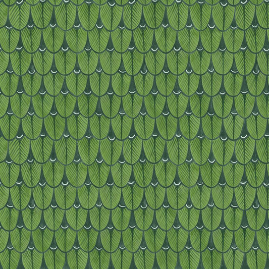 Search 109/10045 Cs Narina Leaf Green By Cole and Son Wallpaper