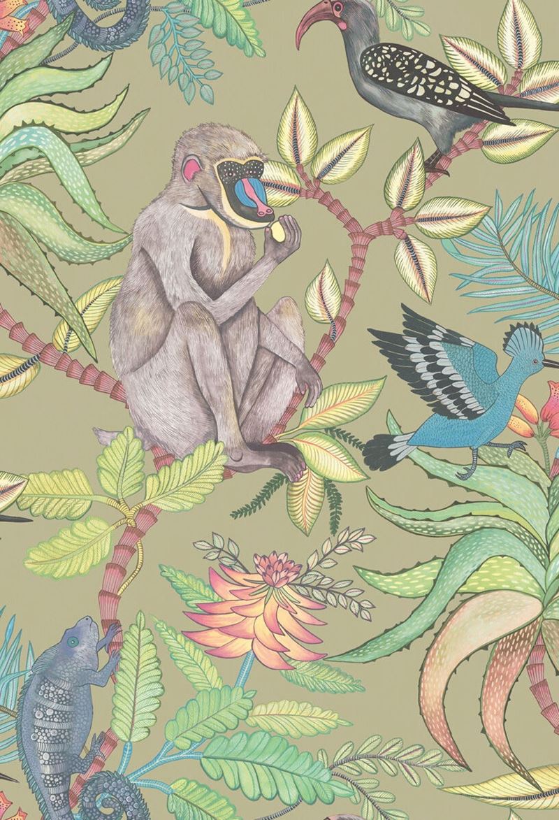 Find 109/1005 Cs Savuti Khaki Multi By Cole and Son Wallpaper