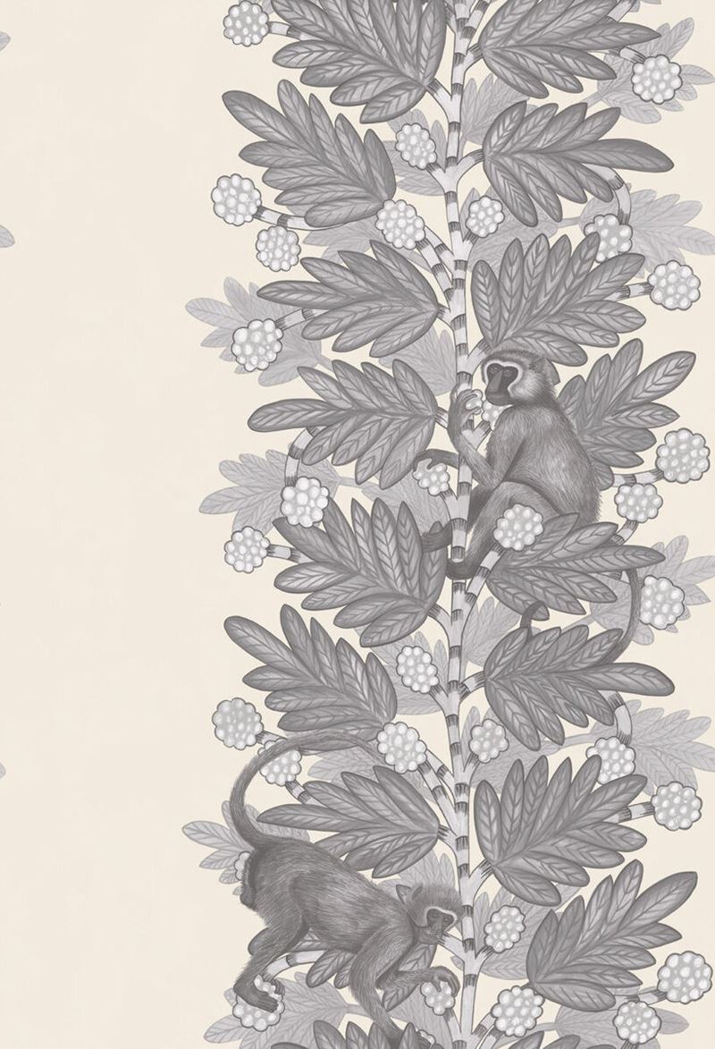 Find 109/11053 Cs Acacia Grey And White By Cole and Son Wallpaper