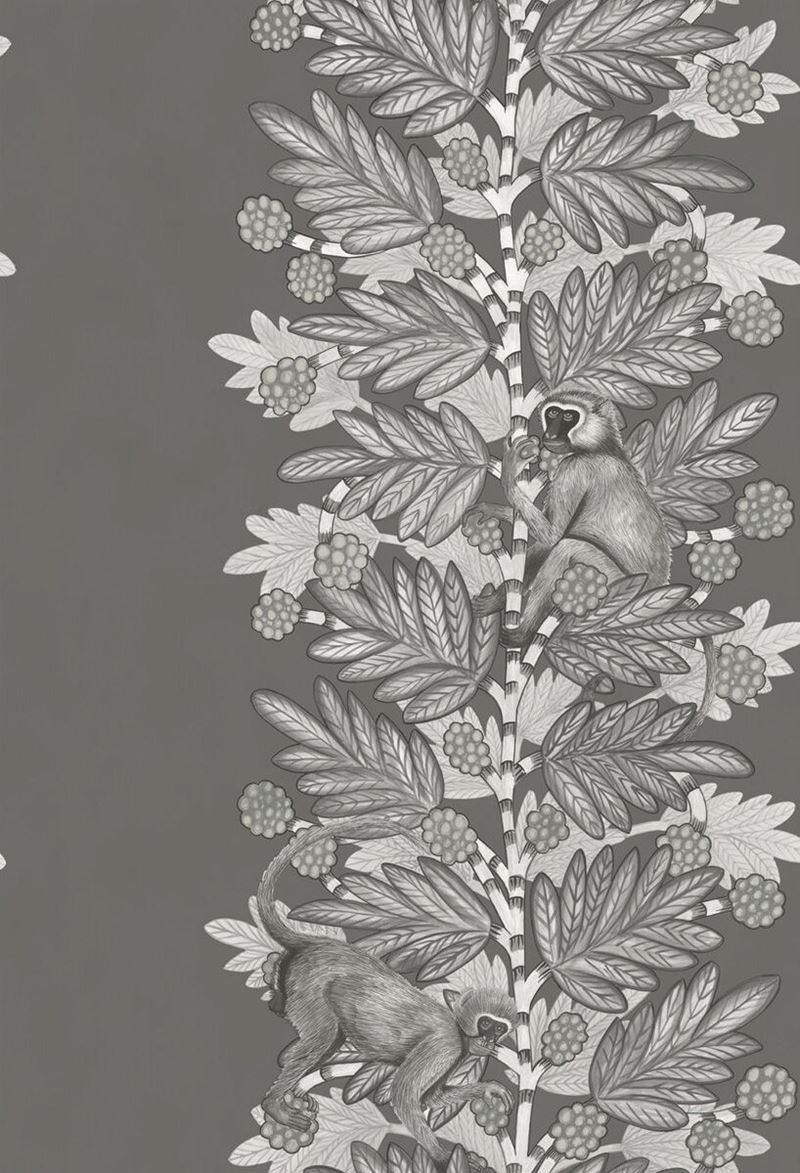 Acquire 109/11055 Cs Acacia Charcoal And Silver By Cole and Son Wallpaper