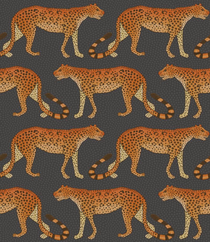 Search 109/2008 Cs Leopard Walk Charcoal And Orange By Cole and Son Wallpaper