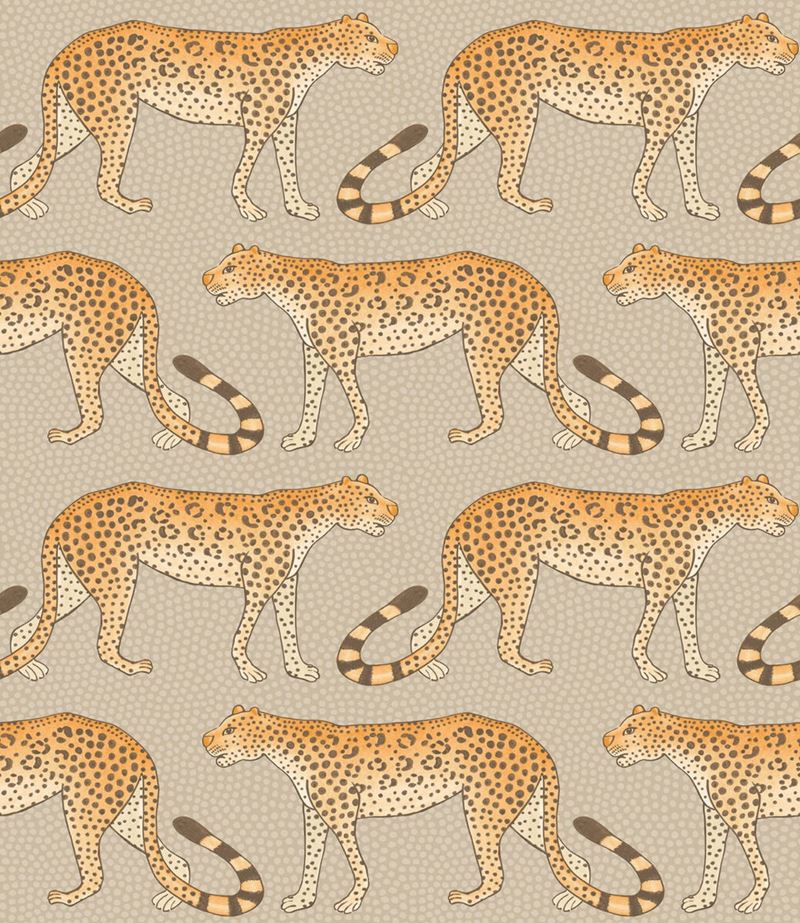 Purchase 109/2010 Cs Leopard Walk Stone And Orange By Cole and Son Wallpaper