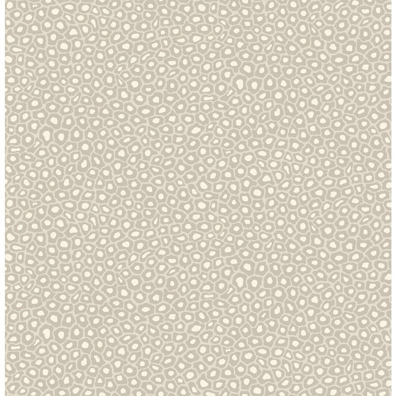 Search 109/6030 Cs Senzo Spot Stone And White By Cole and Son Wallpaper