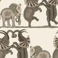 Save on 109/8036 Cs Safari Dance Neutral And Charcoal By Cole and Son Wallpaper
