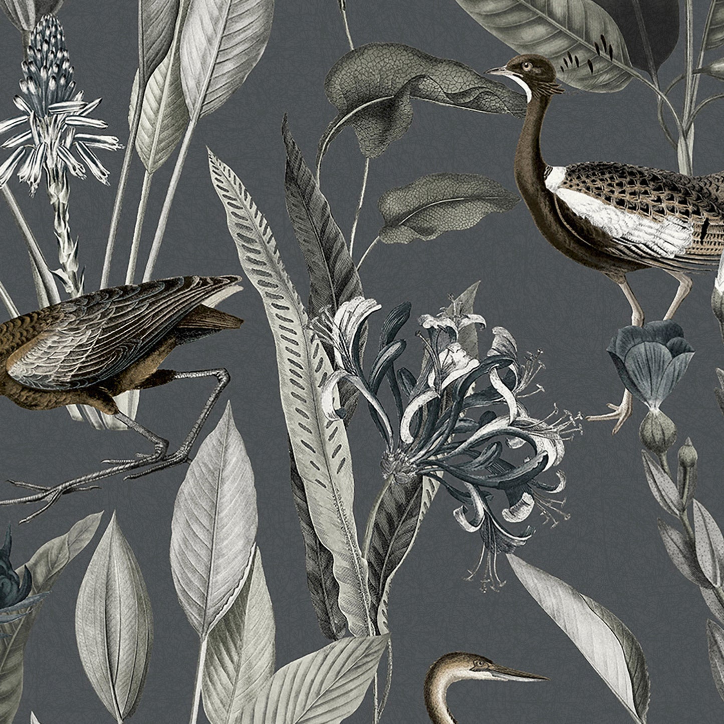 Find Graham & Brown Wallpaper Glasshouse Midnight Removable Wallpaper