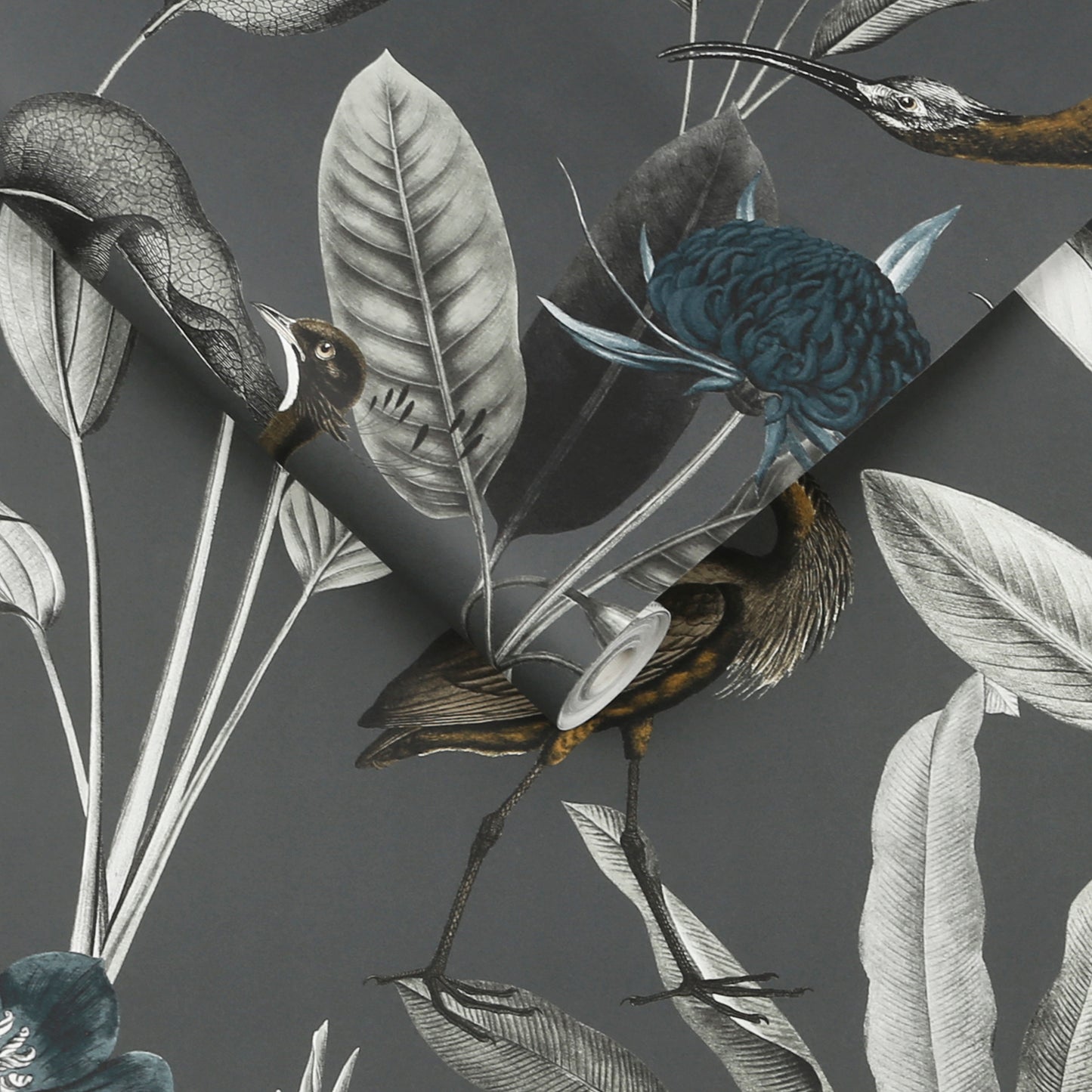 Find Graham & Brown Wallpaper Glasshouse Midnight Removable Wallpaper_3