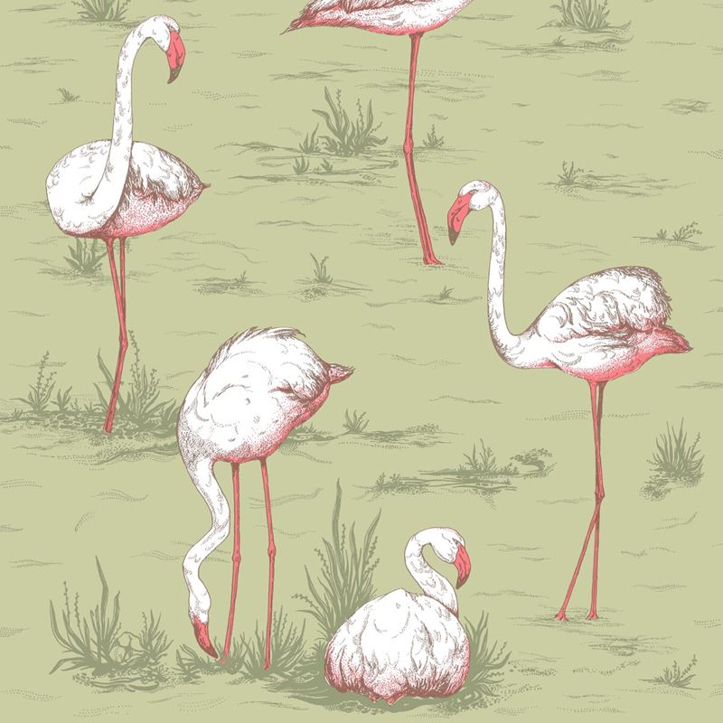 Purchase 112/11038 Cs Flamingos Olive By Cole and Son Wallpaper