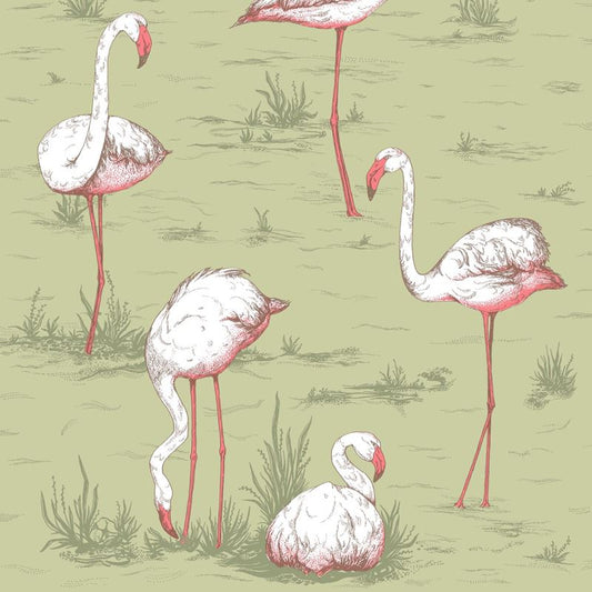 Purchase 112/11038 Cs Flamingos Olive By Cole and Son Wallpaper
