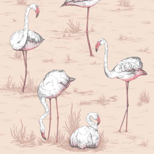 View 112/11039 Cs Flamingos Plaster Pink By Cole and Son Wallpaper